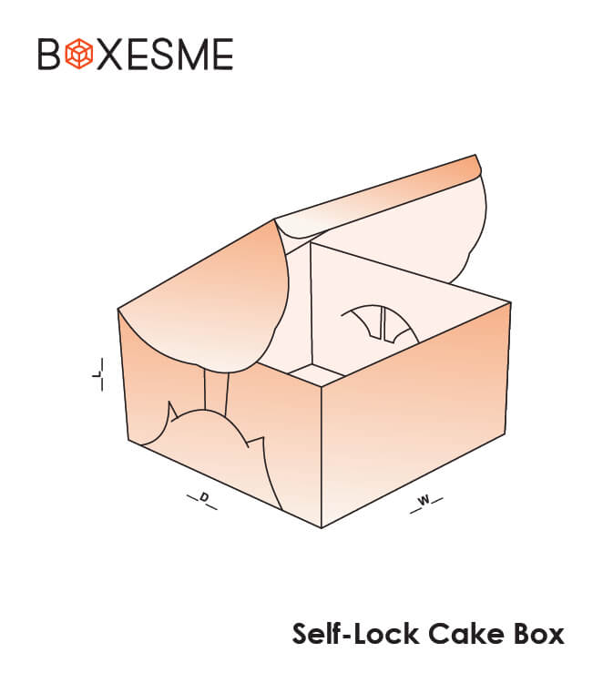 Self Lock Cake box (2)